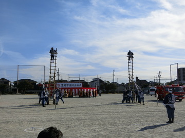 15 .jpg