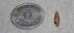 20070424DoorSnail2.jpg