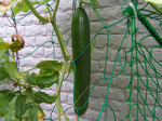 20100814_2.jpg