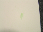 PICT3382.jpg