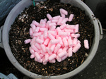 ecosoft6.jpg