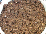 ecosoft7.jpg